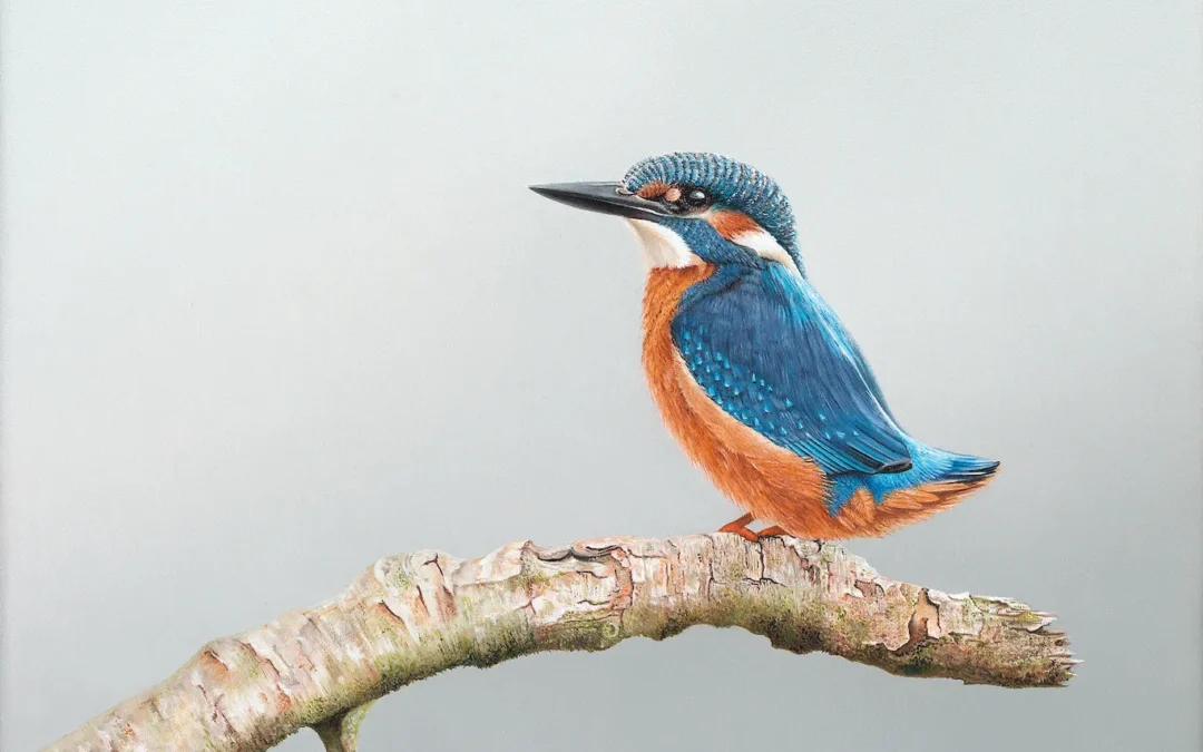 IJsvogeltje 2