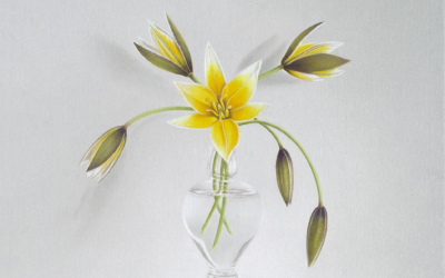 Voorzichtig ontwaken